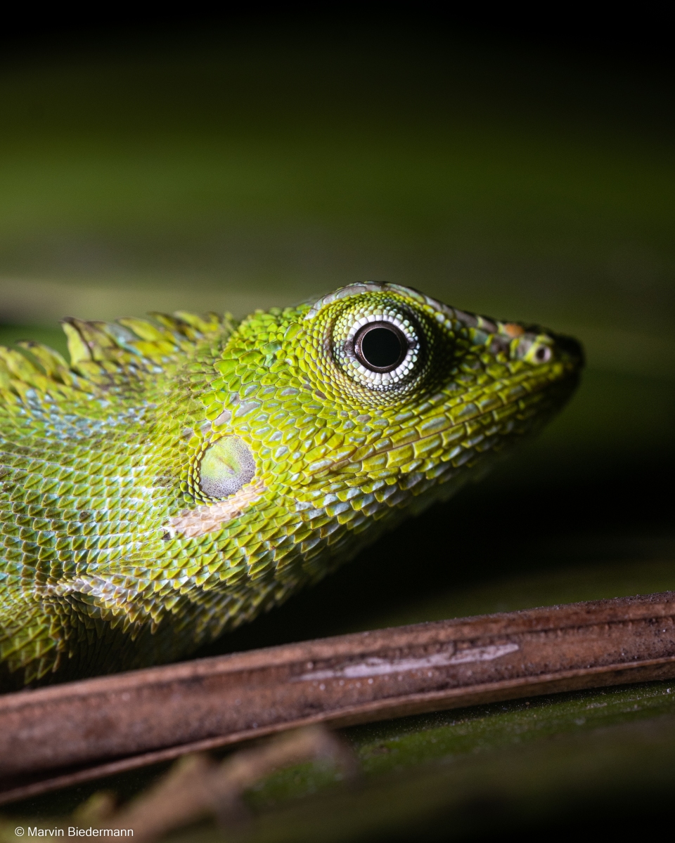 Yosh qizlar jinsiy aloqa onlayn