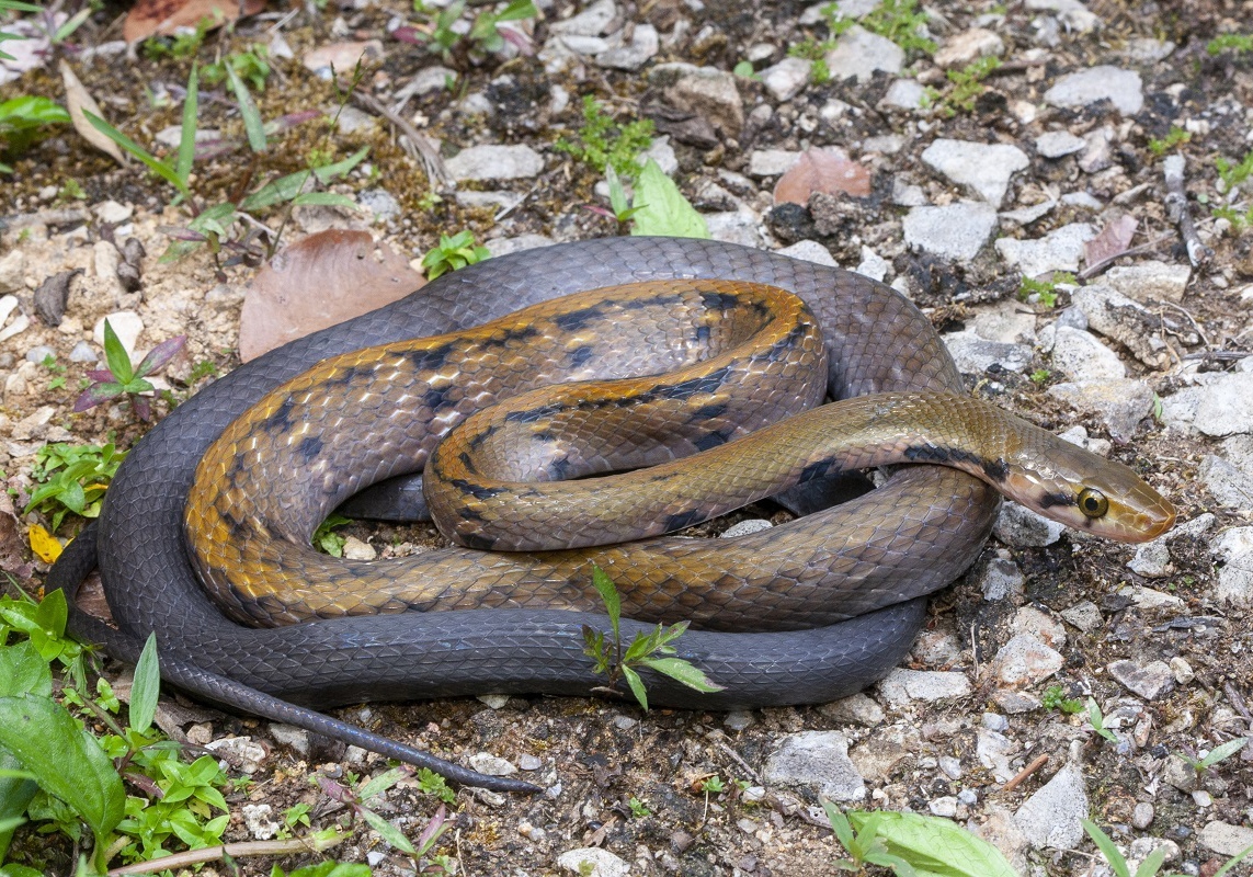 Erotik uyda yolgiz fotosuratlar