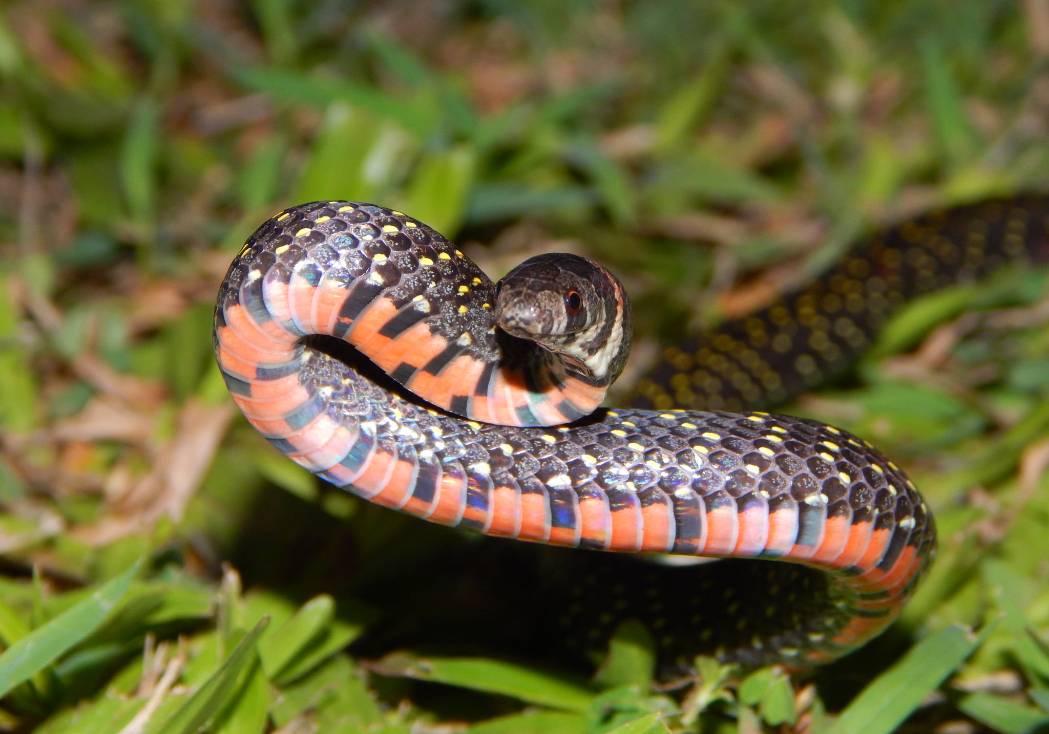 Oyogim bilan qolimni silkitaman Rus tilida orgazm porno