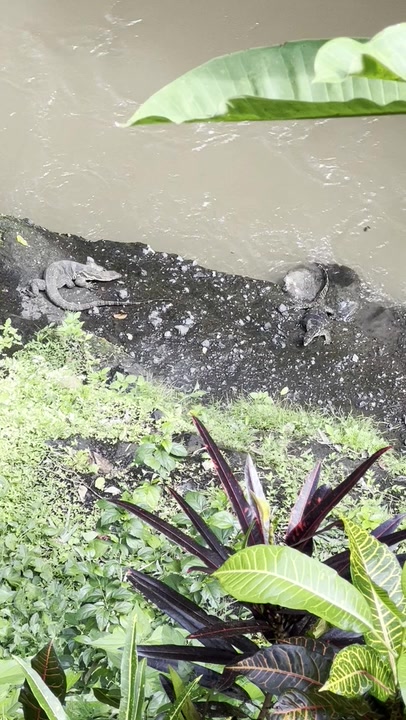Common Water Monitor