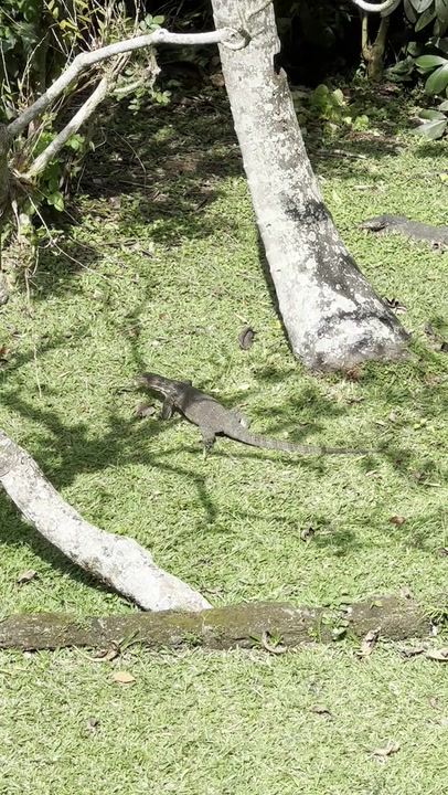 Common Water Monitor