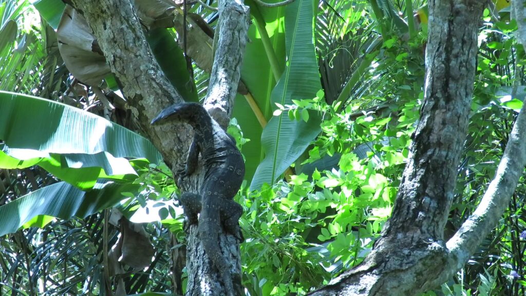 Common Water Monitor