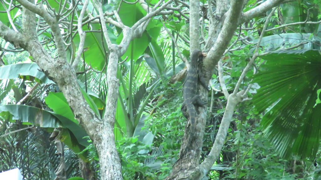 Common Water Monitor