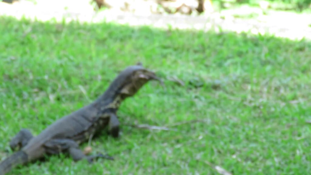 Common Water Monitor