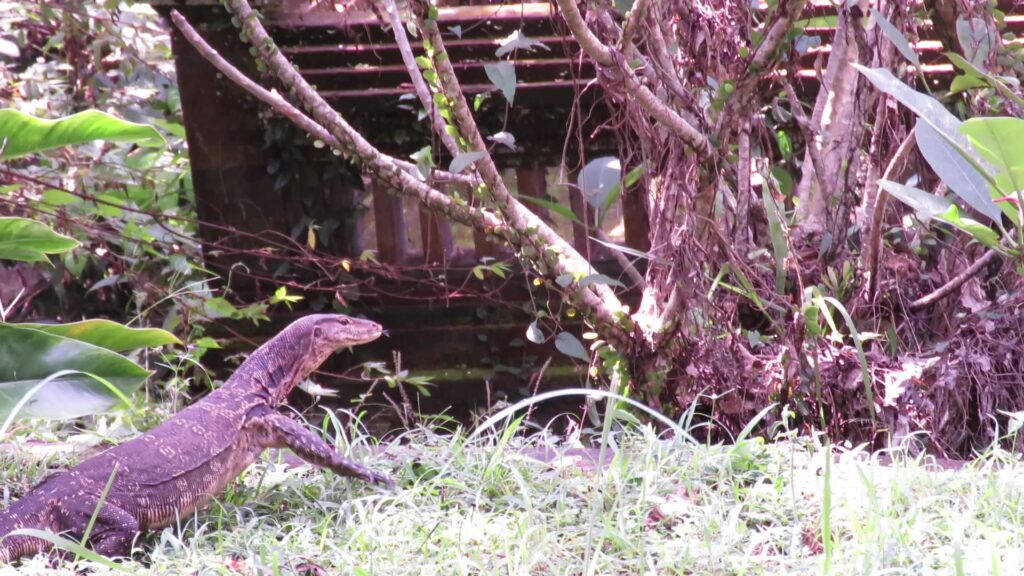 Common Water Monitor